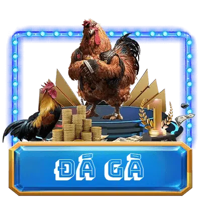 đá gà