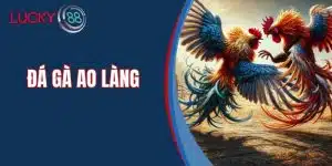 Đá Gà Ao Làng Kiếm Tiền Bằng Cách Giới Thiệu Bạn Bè
