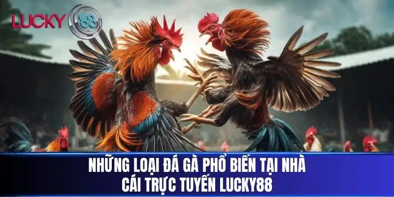 Những loại Đá Gà phổ biến tại nhà cái trực tuyến Lucky88
