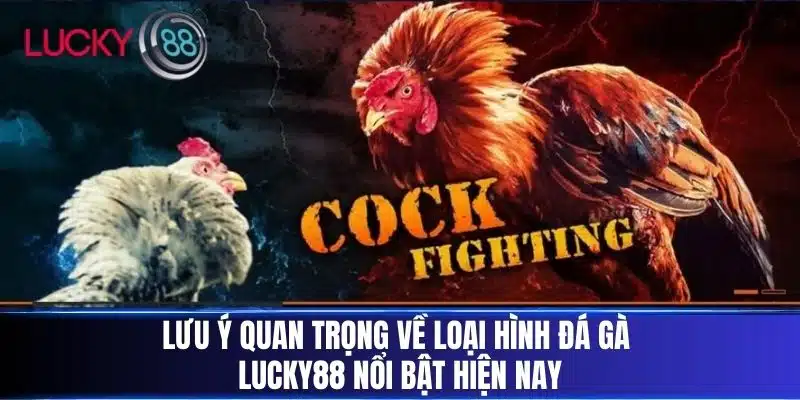 Lưu ý quan trọng về loại hình Đá Gà Lucky88 nổi bật hiện nay